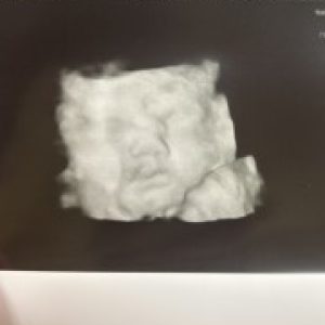 Profile photo of daniyar