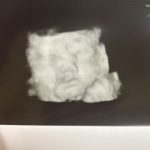 Profile photo of daniyar
